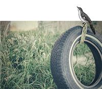 To Kill A Mockingbird