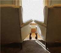 Waiting in the Wings