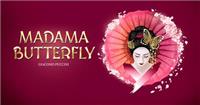 Madame Butterfly v2